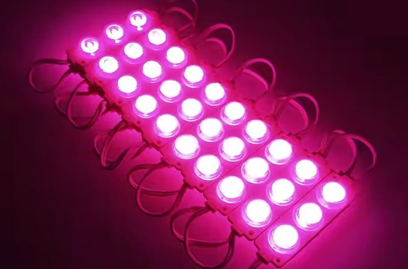 Pink Magenta LED Module Light Bangladesh price
